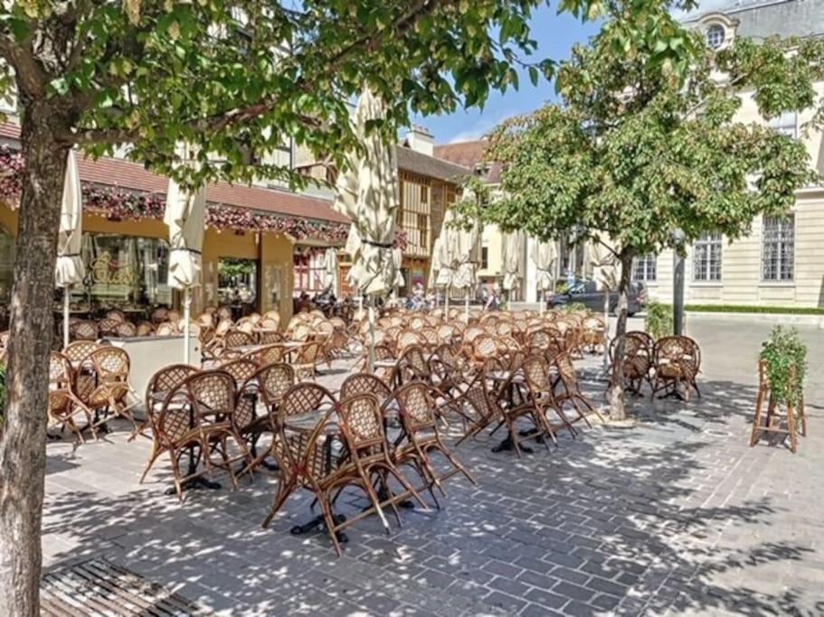 Appartement Au Coeur De Troyes Esterno foto